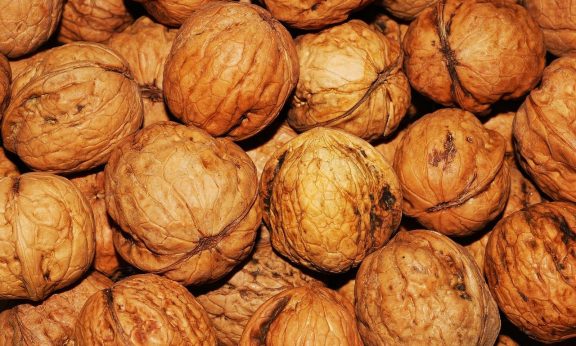 Calorie noci